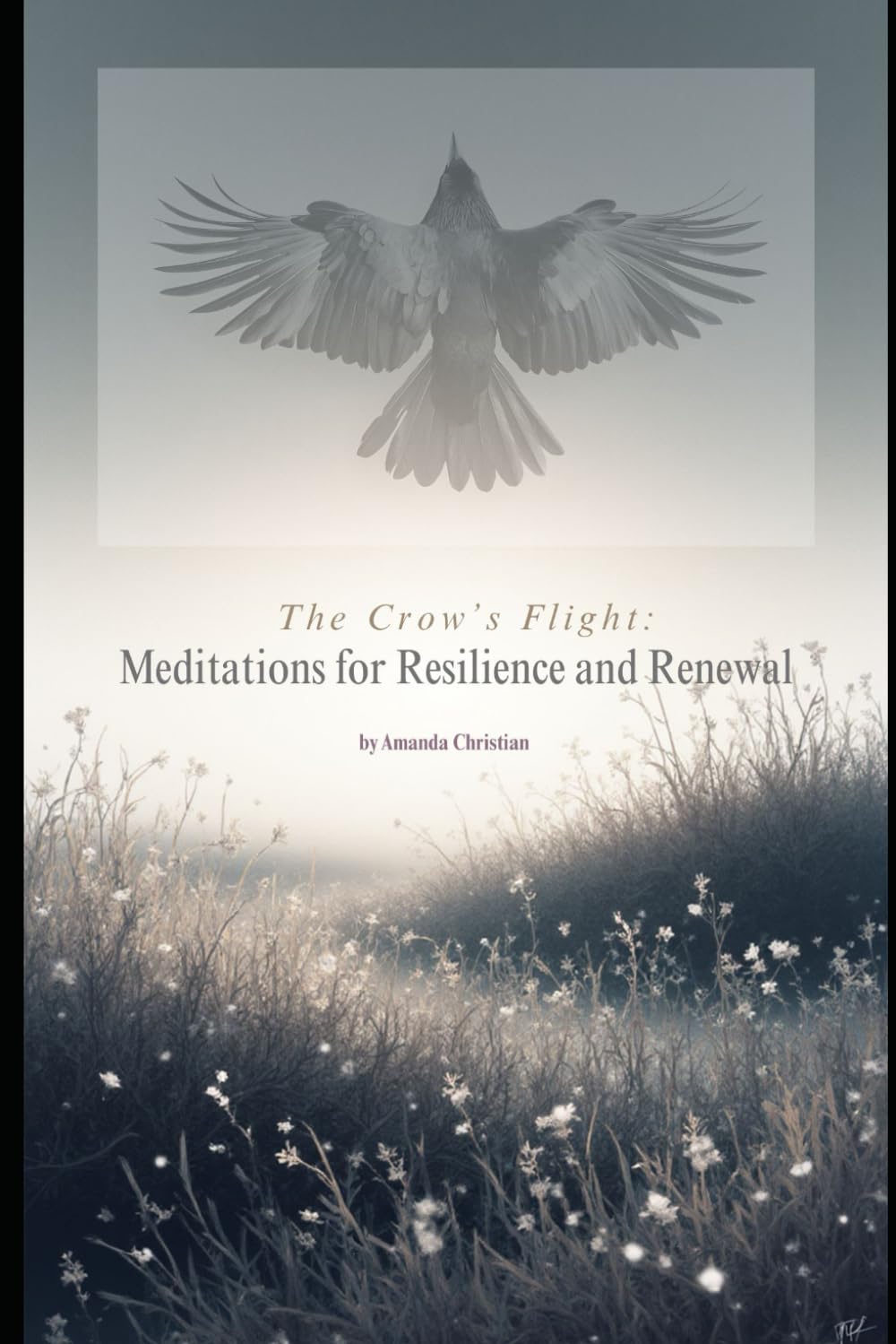 The Crow's Flight: Meditations for Resilience and Renewal: A Guide