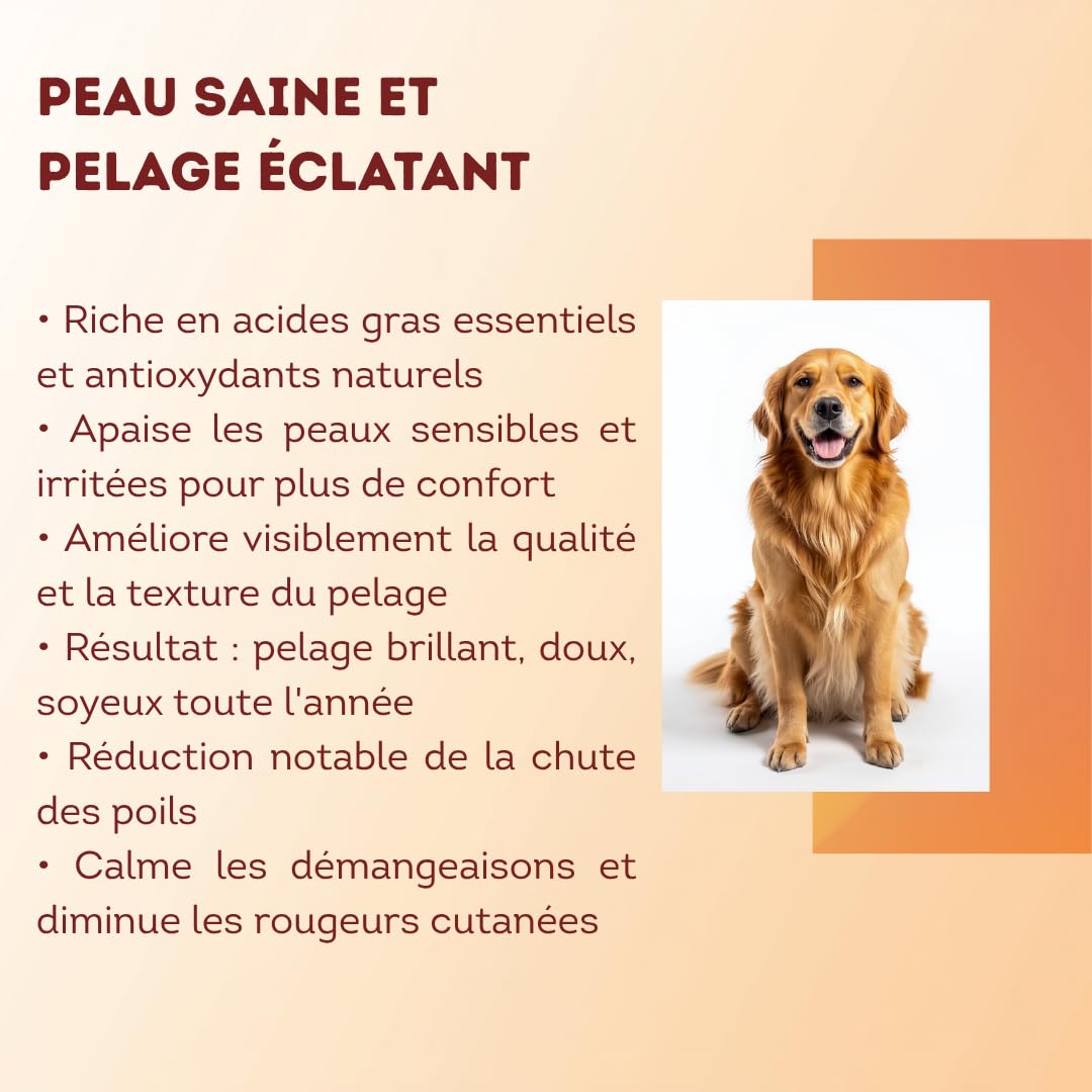 2L Huile de Sardine 100% Naturelle pour Chiens, Chats et Chevaux, Très Riche en Oméga 3-6-9 et Vitamines E | Fabriqué en UE