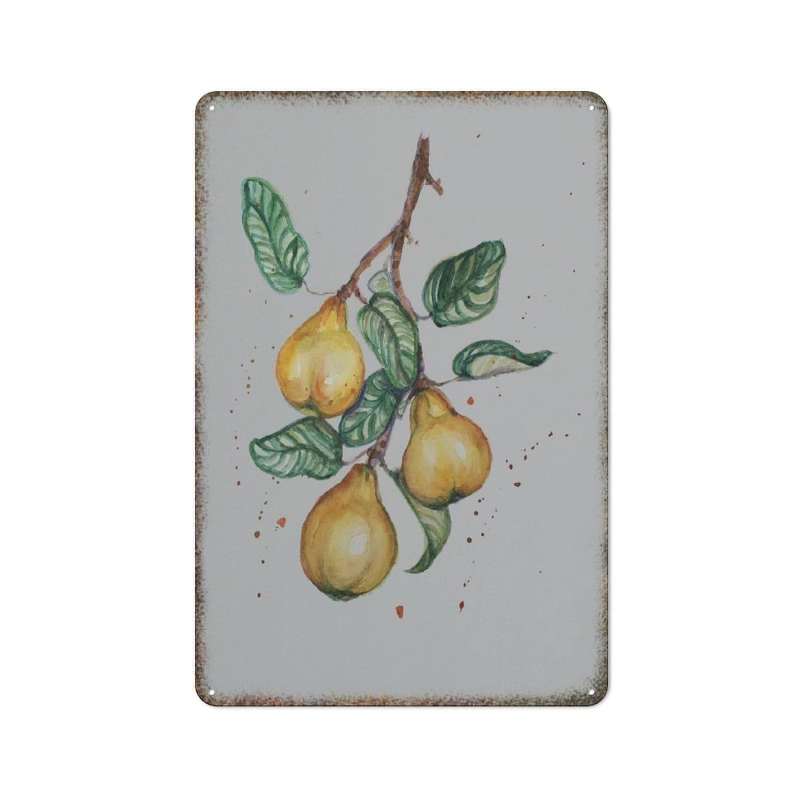Watercolor Pear Vintage Bar Dorm Gift Wall Decor Sign 8x12 inch