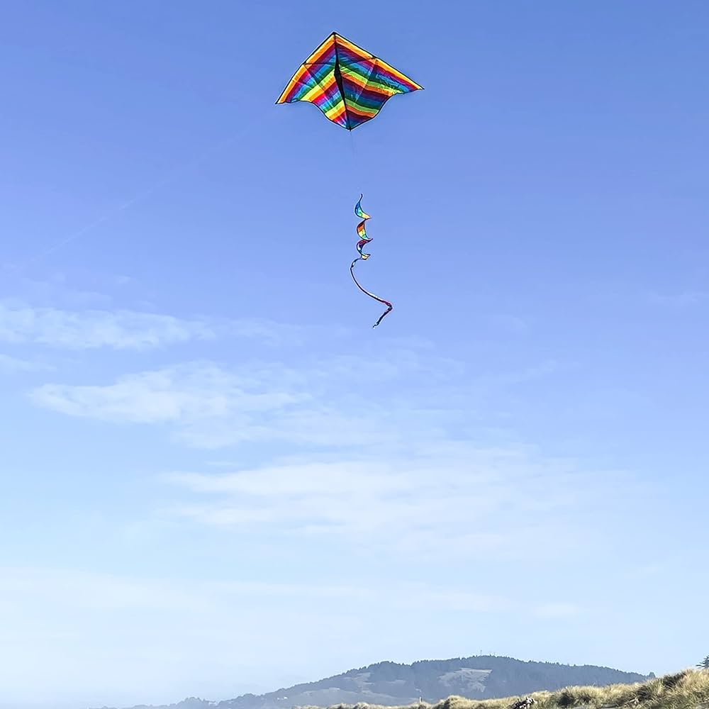 Amazon.com: In the Breeze 3329 — 72-inch Rainbow Stripe