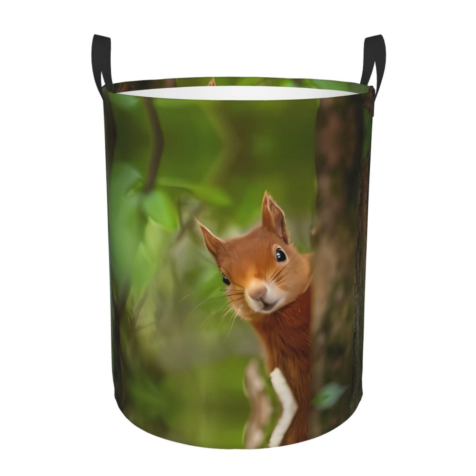 M Circular Hamper Squirrel Print for Dirty Clothes