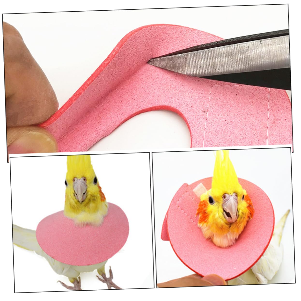 TOGEVAL 2pcs Pet Parrot Toys Bird Accessories for Cages Parrot Cone Collar Bird Biting Collar