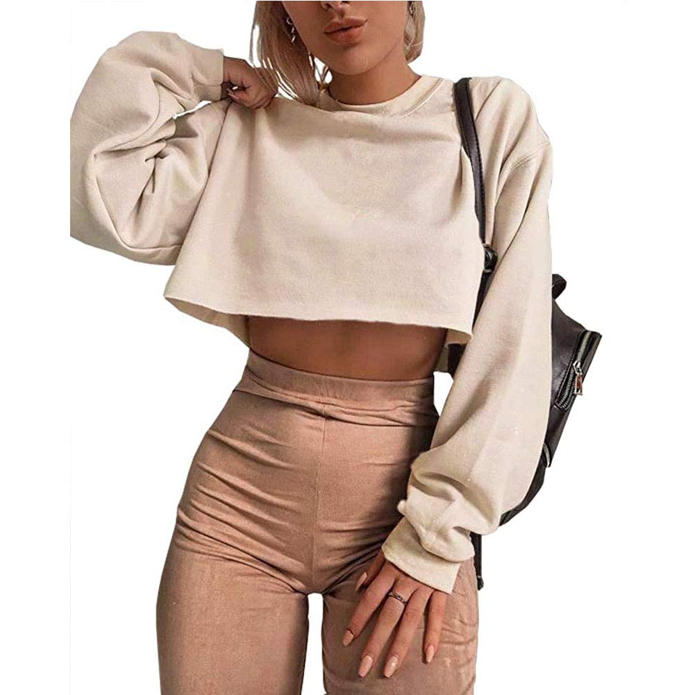 Artfish Women's Crewneck Long Sleeve Crop Tops Workout Casual Pullover Loose Sweatshirts