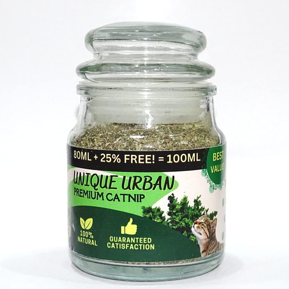 Premium Catnip - Aroma Locked in Glass Bottle (80ml + 25% Free = 100ml) (B0BT6WHRLX) Amazon Price History, Amazon Price Tracker