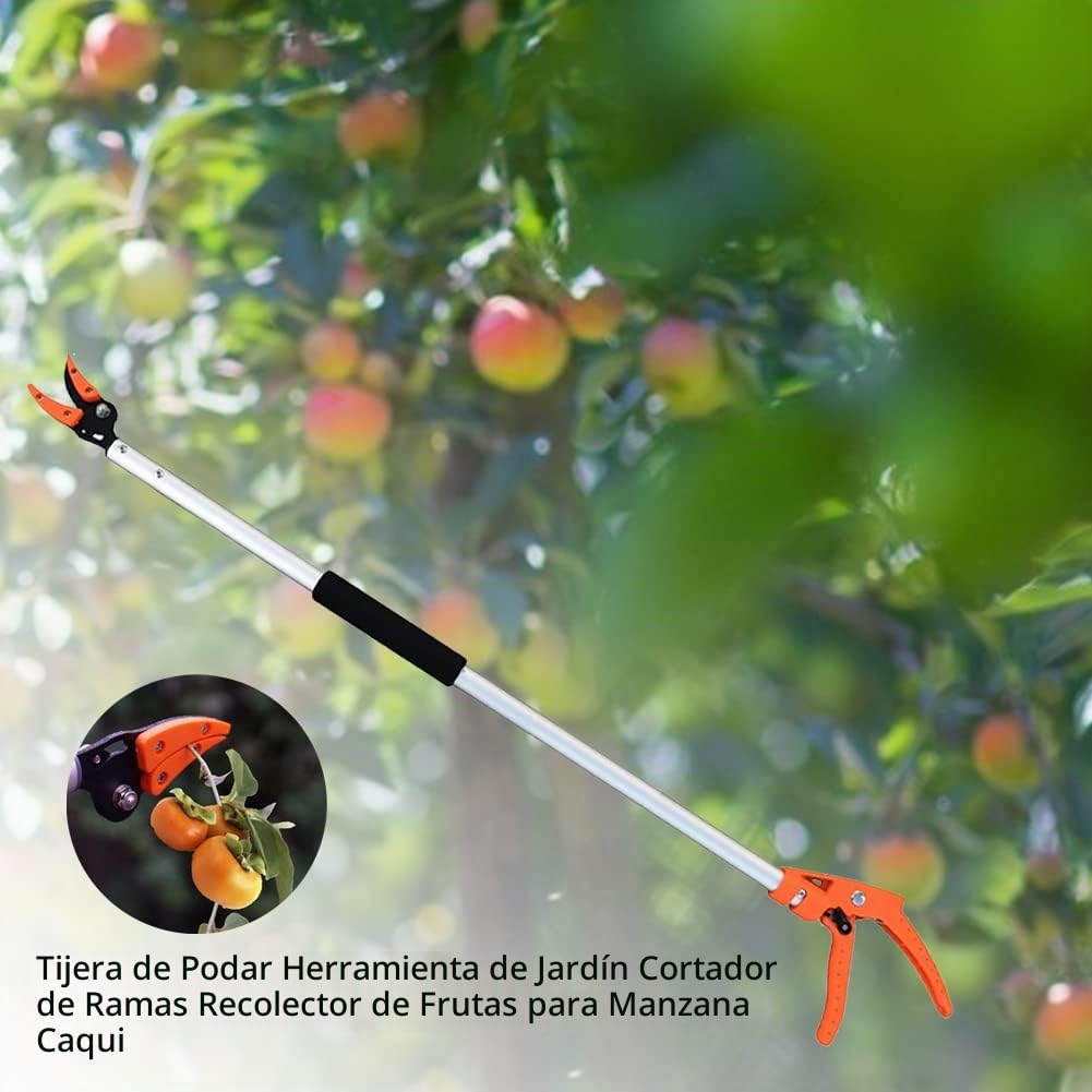 Tijeras de podar telescópicas para cortar frutas, recogedor de frutas, tijeras de podar con mango de aluminio para ramas