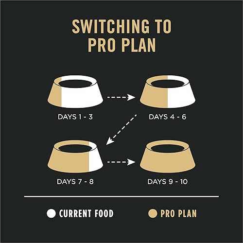 Miniatura 12 de De Purina Pro Plan, mezcla de comida seca para perros con piel y estómago sensible a base de salmón y arroz