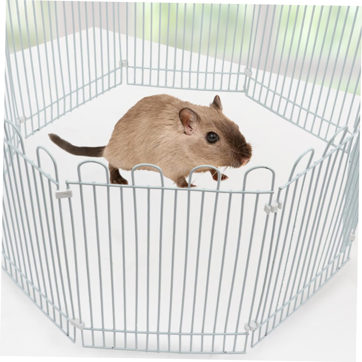 Recinto Modulare per Piccoli Animali Grande Spazio per L'attività per Criceti, Porcellini D'india e Roditori