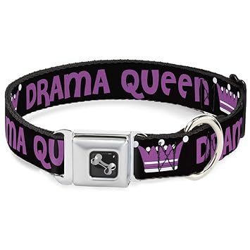 Buckle-Down Drama Queen Black/Fuchsia Dog Collar Bone, Medium/11-17