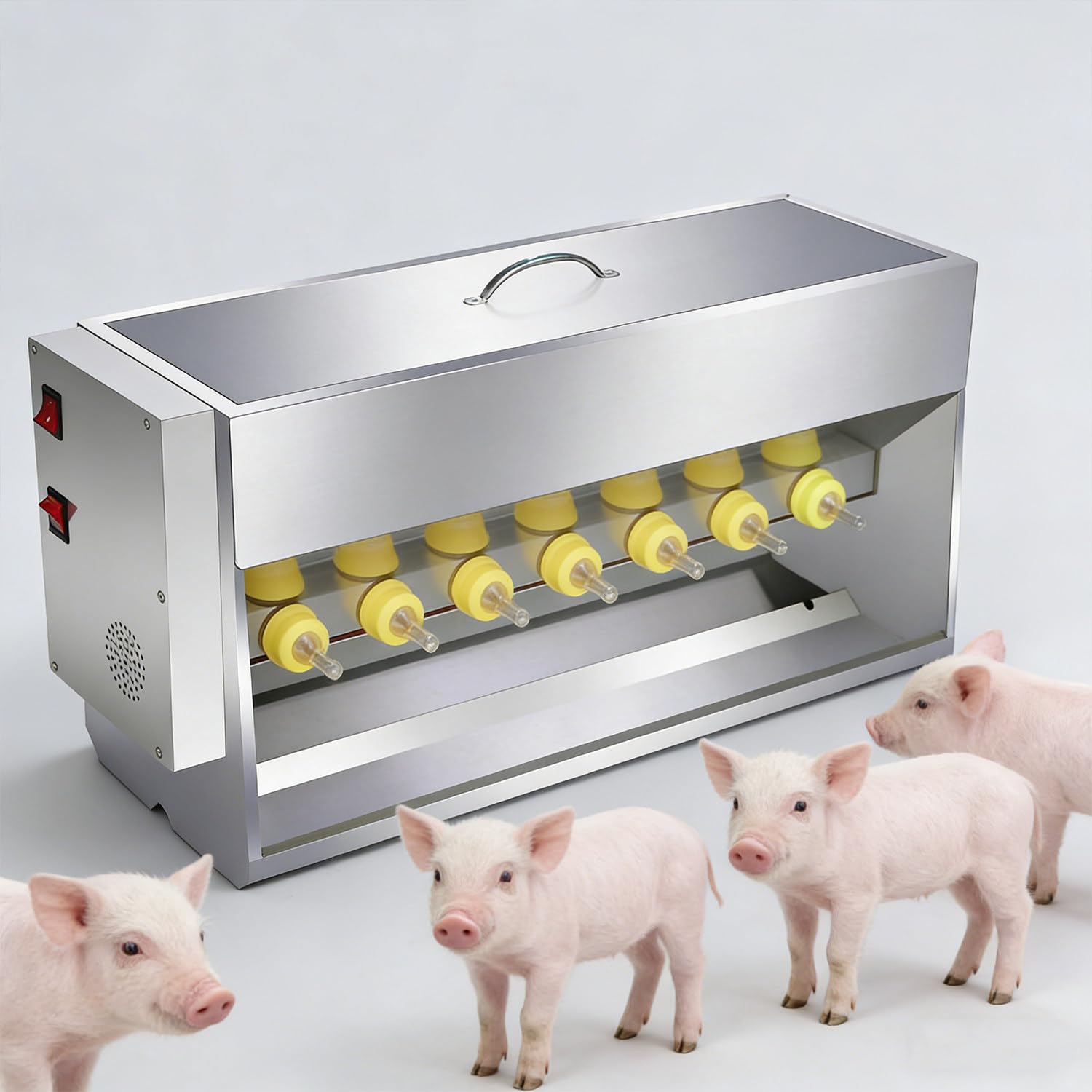 Alimentador automático de leche para lechones en acero inoxidable profesional