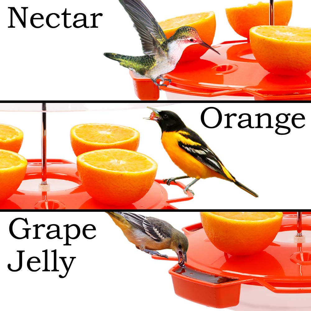 Solution4Patio Baltimore Oriole Feeder Hummingbird Combination, 3 Types Food, Orange, Grape Jelly, Nectar, 34-Ounce Nectar Capacity, Weather Guard Squirrel Baffle #G-B122A00