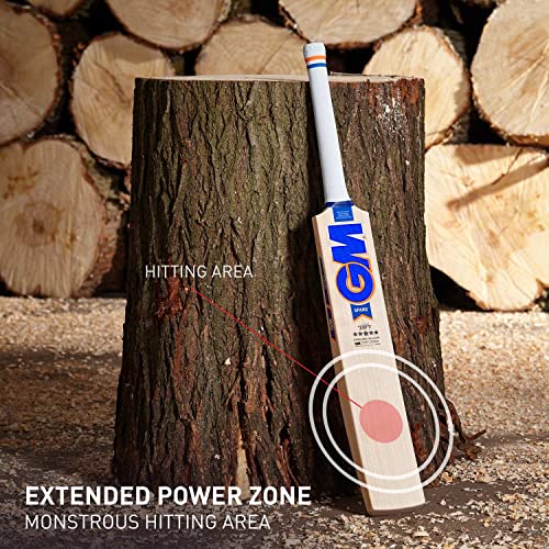 Image of GM Sparq 707 English Willow Short Handle Cricket Bat