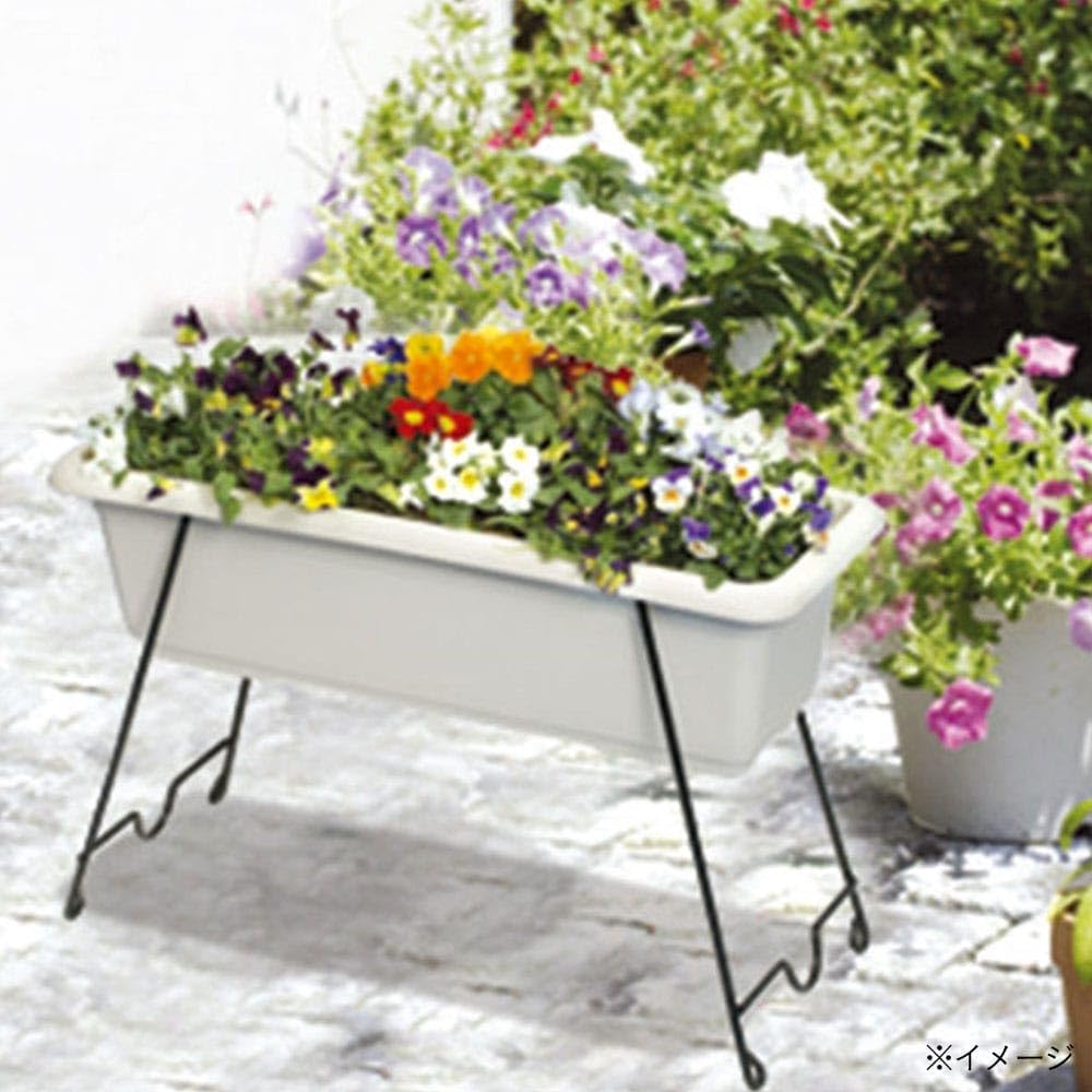 Amazon | カインズ(CAINZ) プランタースタンド M 幅60cm 奥行26cm 高さ