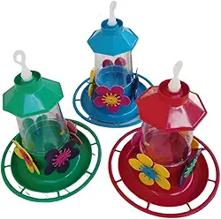 Bebedouro Beija Flor Luxo Chapéu com Poleiro (Cores Mistas)