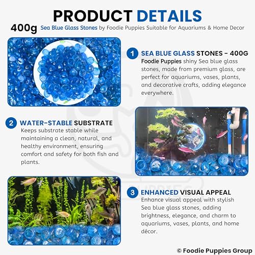Image of Foodie Puppies Flat Glass Clear Stone (400gm, Sea Blue) (2cm - 2.5cm) for Aquariums, Fireplace, Firepit Glass for Indoor and Outdoor, Vase Filler, Hydroponics Plants, Home Decor, and DIY Craft