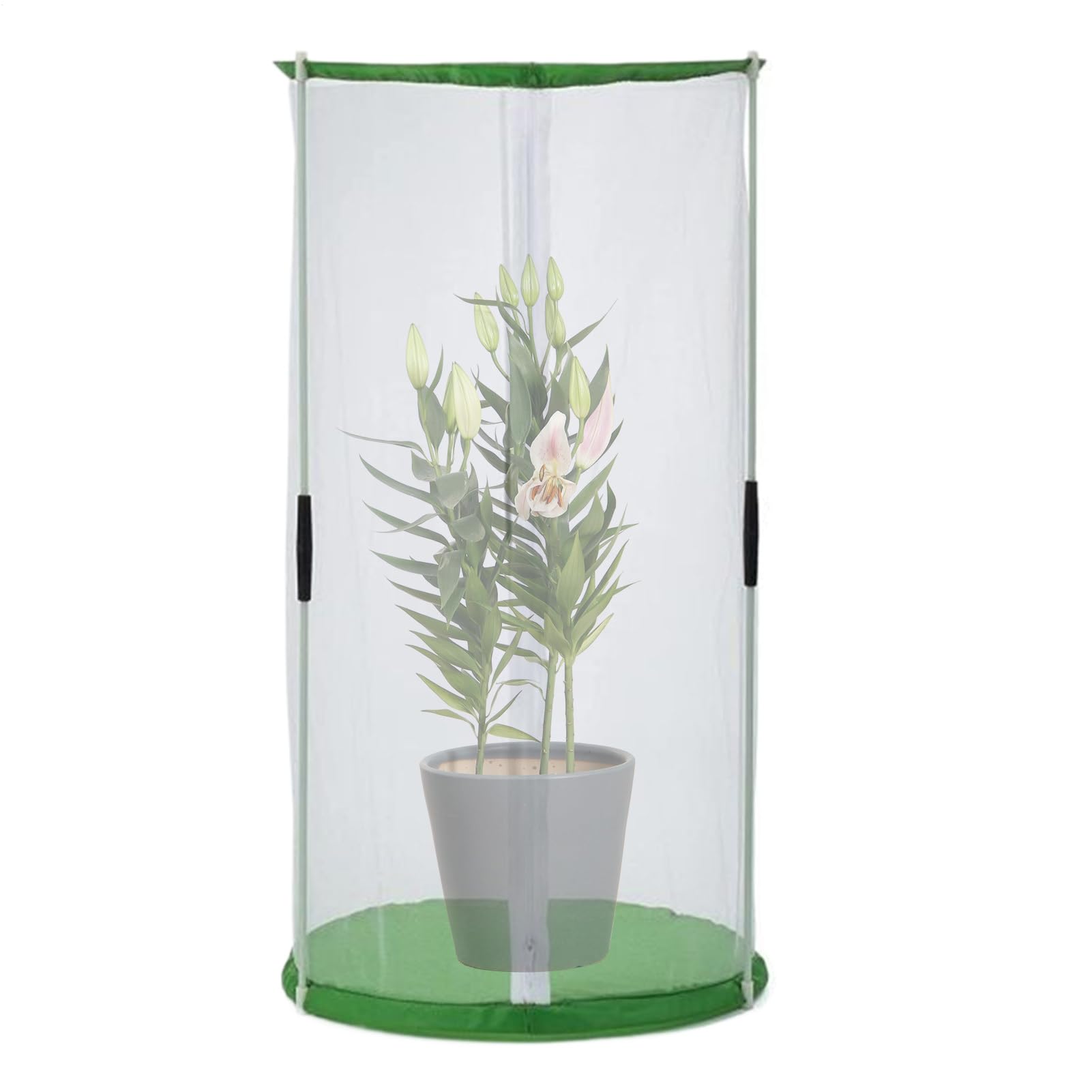 Cage à Papillons 30x40 cm avec Fermeture éclair Pliable Protection pour Études Naturelles