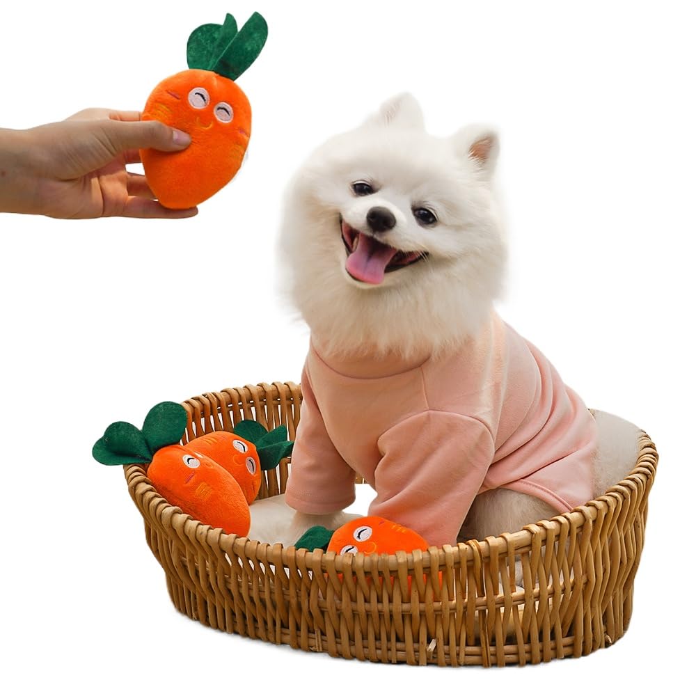 DAFORERAL Squeaky Plush Carrot Toy for Small Dogs and Cats Cute Smile Embroidered Design BB Sound Soft Chew