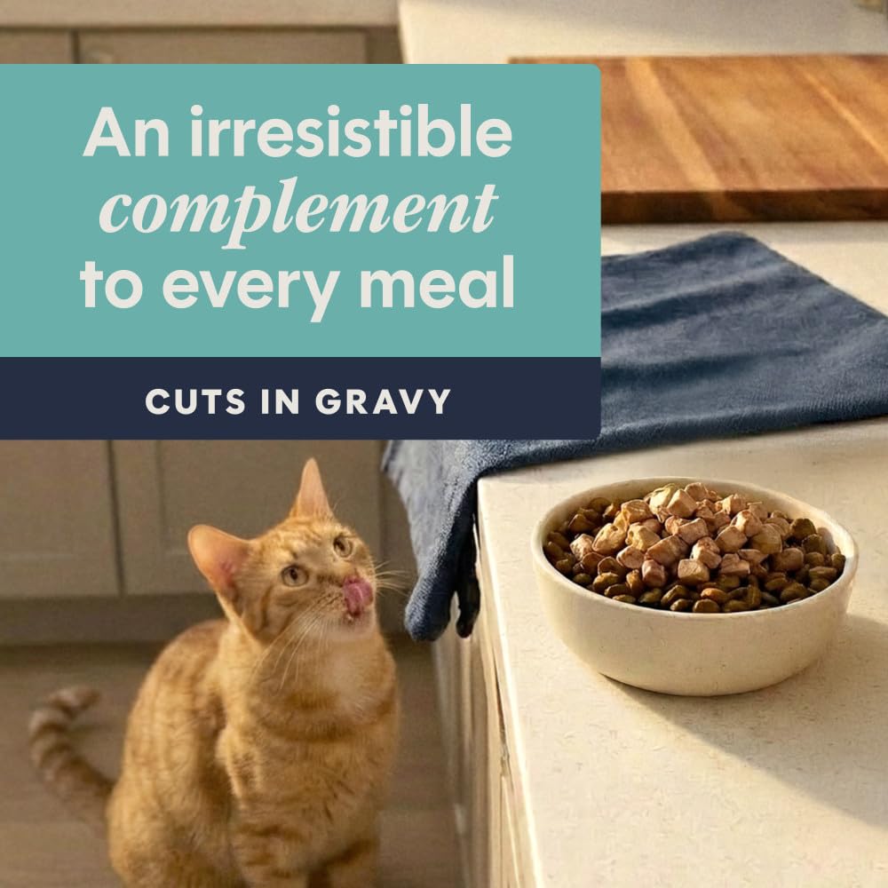 Nature's Variety Instinct Healthy Cravings Grain Free Natural Wet Cat Food Topper, 85 g, woreczki (opakowanie 24 szt.)
