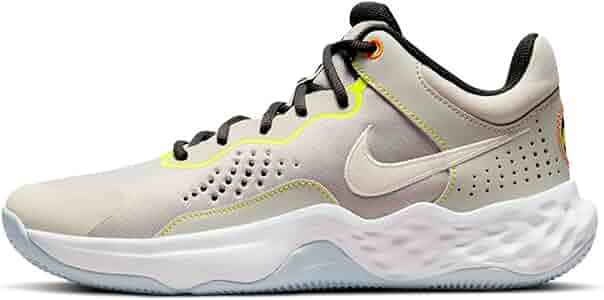 NIKE　ナイキ フライ バイ MID 3 バスケットボールシューズ 　バッシュ sungrasser_dd9311-003