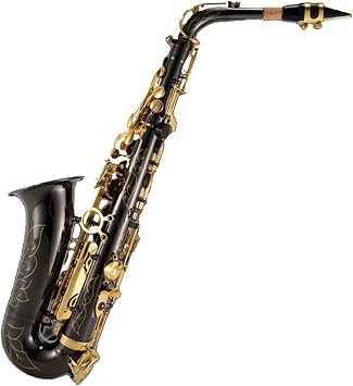 Alto E-flat Saxophone Brass Body Black Nickel Gold Key Sax Wind Instrument With Accessories Saxophone for Beginner