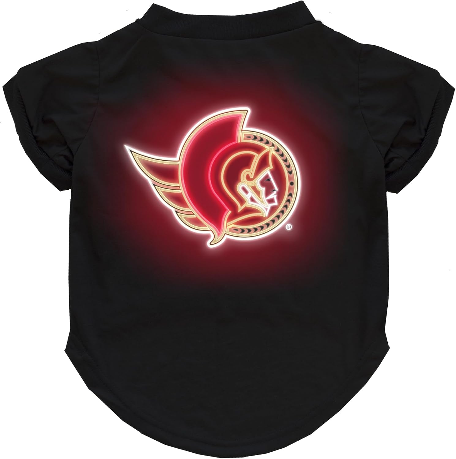 Littlearth NHL Unisex-Adult NHL Neon Pet T-Shirt