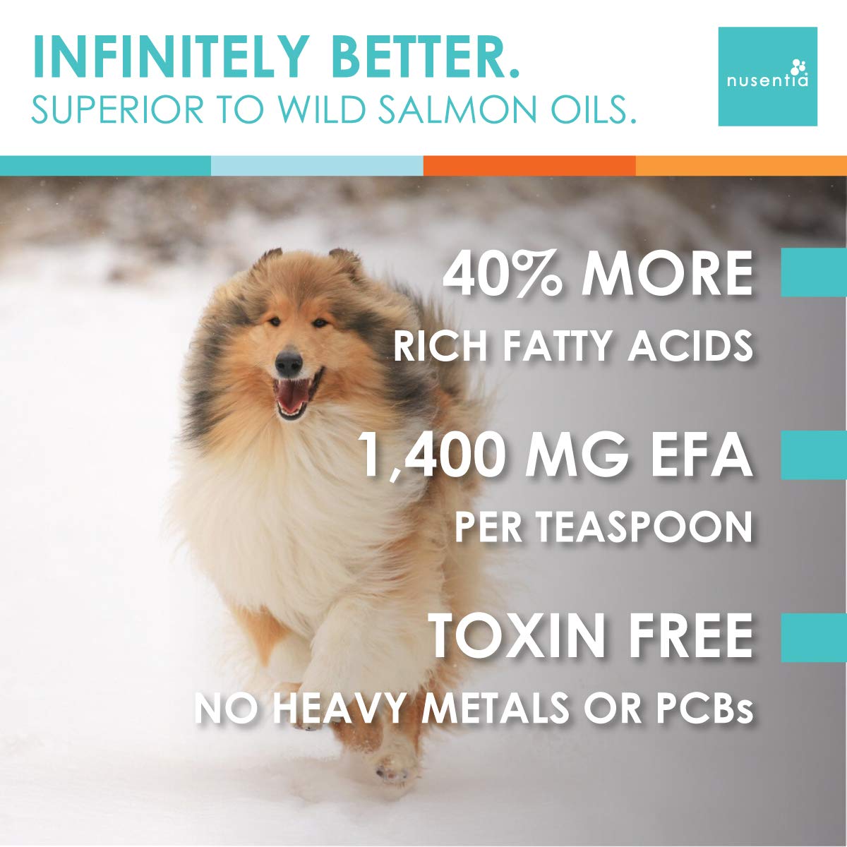 Can I Give My Rough Collie Fish Oil For Humans