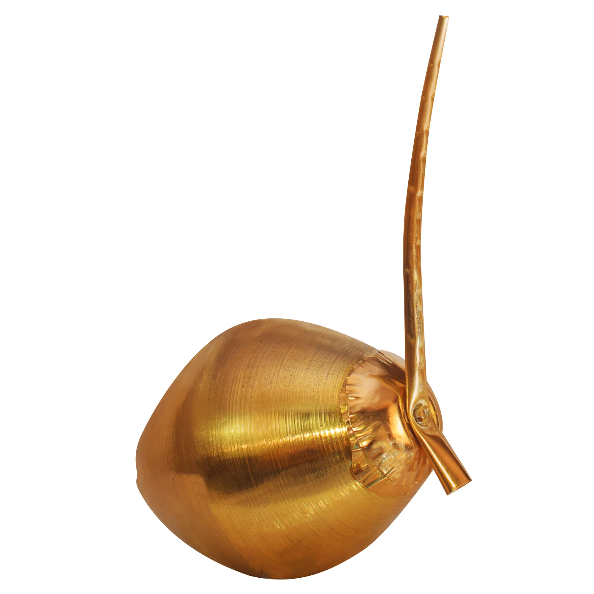 Shrinika Nariyal, Pital Daab, Brass Coconut for Puja, Home Decor (Golden), Standard Size (Pack of 1)