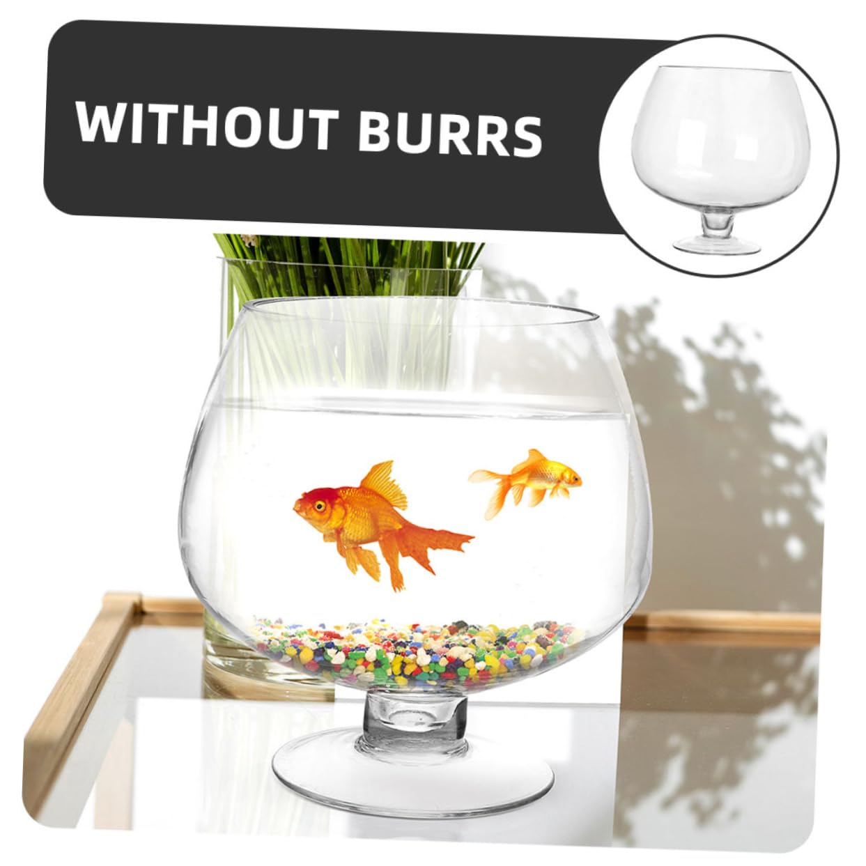 Garneck Aquarium Verre pour Poissons Betta Aquarium Transparent pour Poissons Rouges