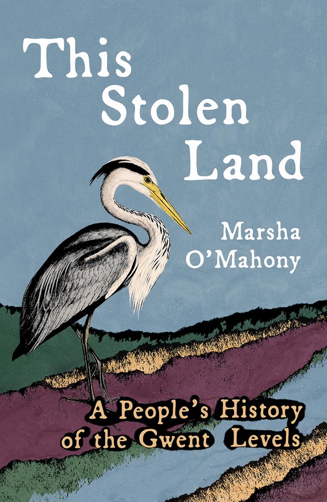 This Stolen Land by Marsha O'Mahony PAPERBACK 9781781727645