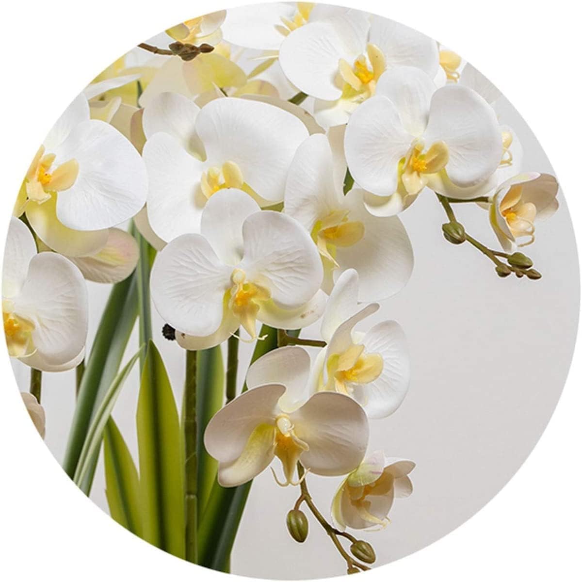 Orchidées artificielles 5 têtes de Fleurs artificielles avec Vase en céramique Fleurs de phalaenopsis artificielles en Pot Faux 71 cm Fausses Fleurs artificielles Florales