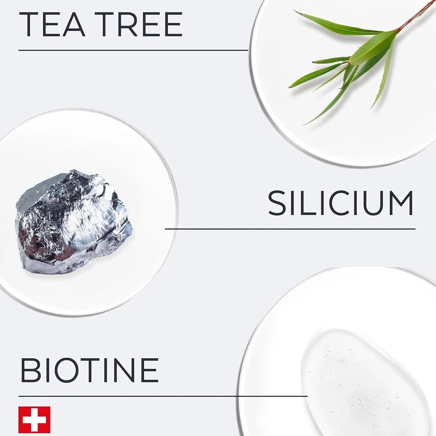 PODERM Swiss Made Cura delle unghie Siero nutriente Smalto Tea Tree Idea Regalo