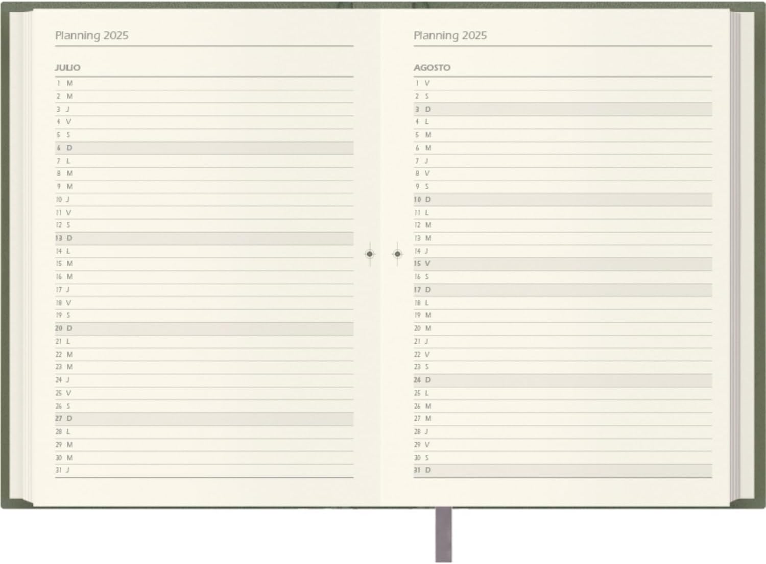 Dohe - 2024 Diary - Day Page - Medium Size: 14 x 20 cm - 336 Pages - Stitched Binding - Hardcover - Green - Lausana Model