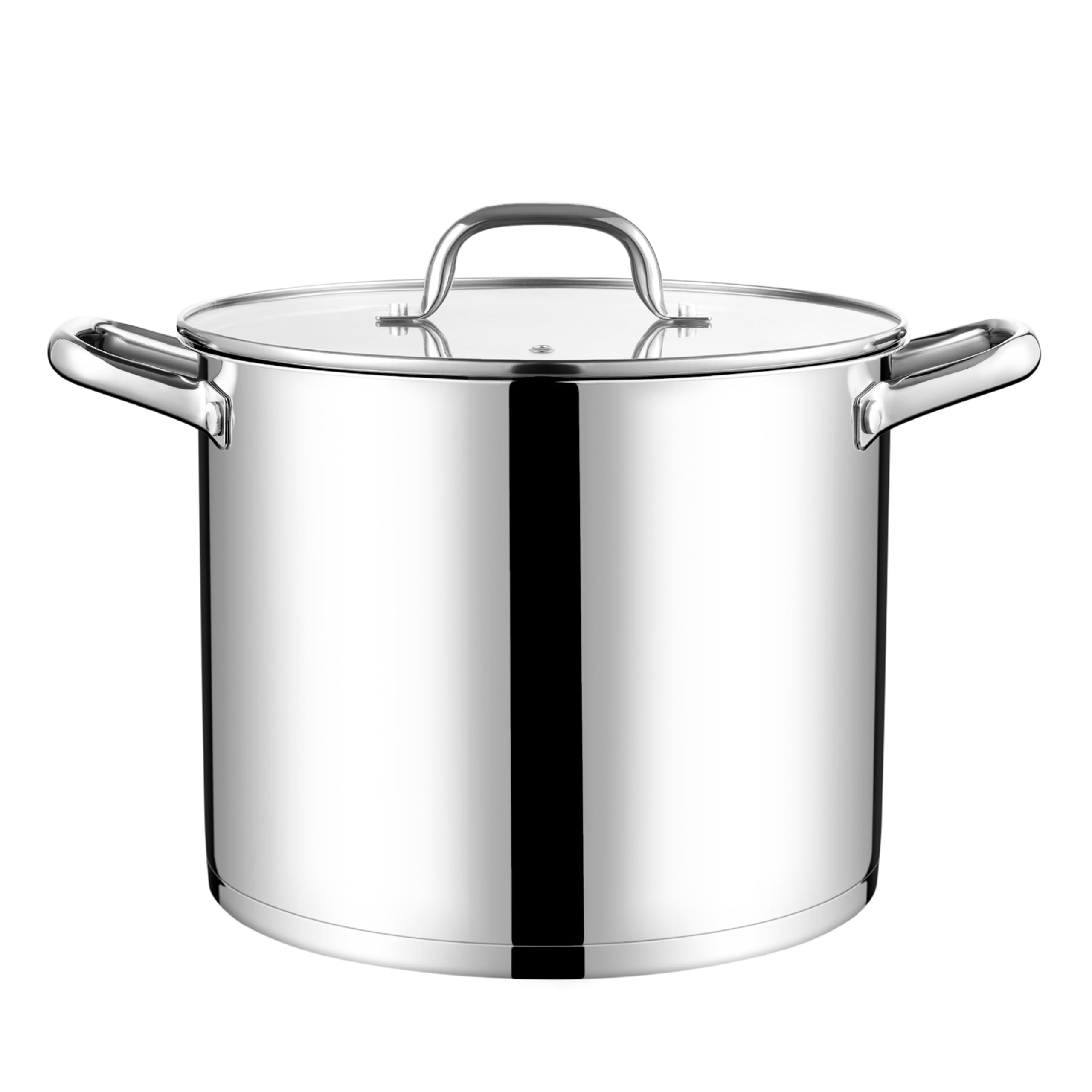 LIANYU 10 Quart Tri-ply Stockpot