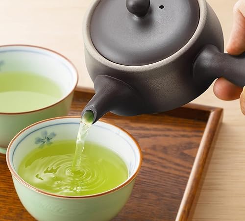 Miniatura 5 de Japanese Green Tea Co. Tetera japonesa de arcilla roja para té verde (9 onzas), tetera tradicional de arcilla fabricada en Tokoname con diseño