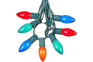 25 Foot C9 Christmas Lights Outdoor