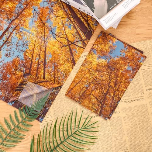 Image of 8 Pcs Fluorescent Light Covers with 80 Magnets Decorative for Classroom Ceiling Light 4 x 2 Feet Magnetic Light Covers Filter Easy Install for Office Hospitals & Home Drop Ceiling Supplies