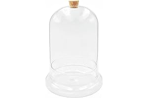 Glass Plant Terrarium: Breathe Easy, Cork It, Display Loudly