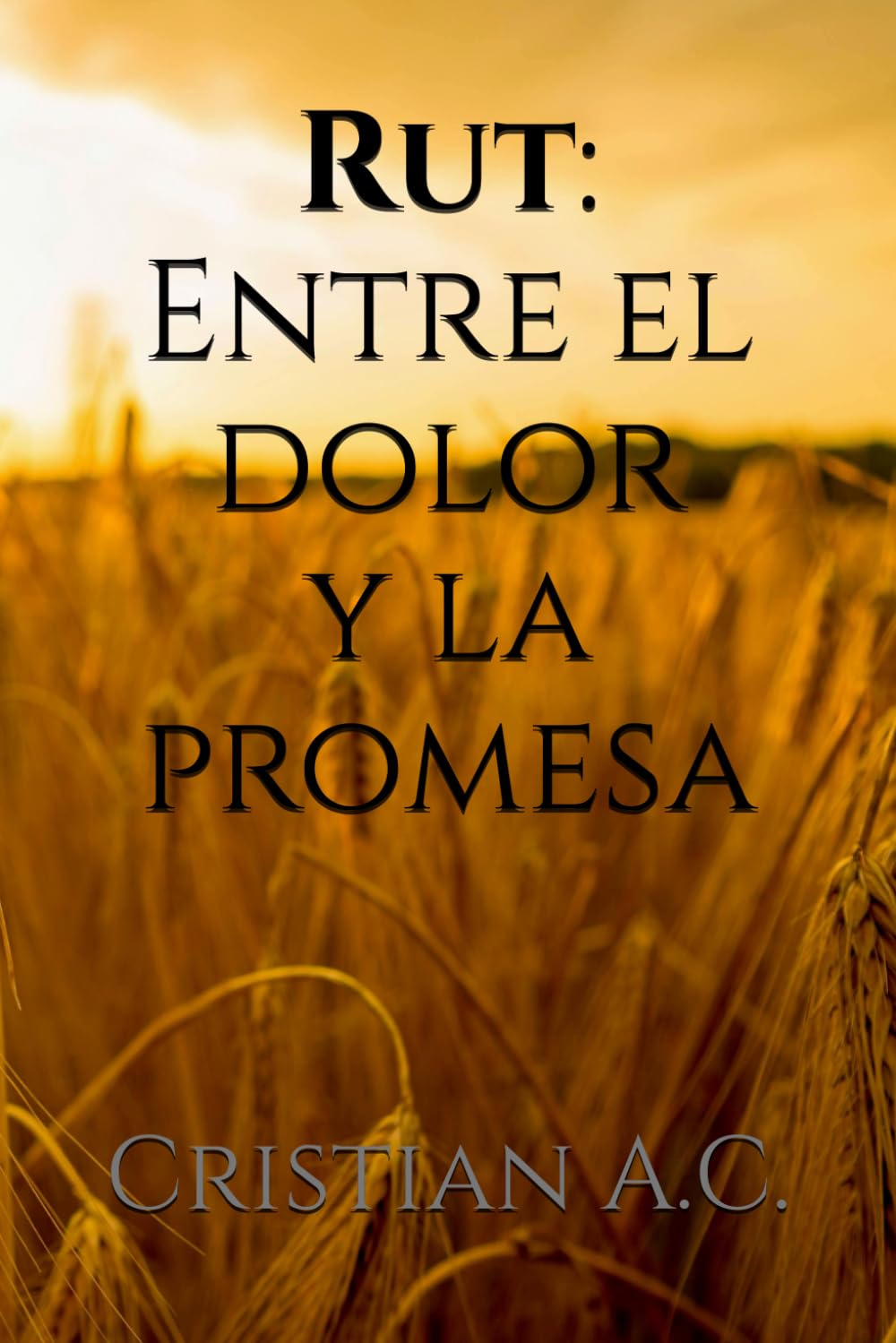 Rut: Entre el dolor y la promesa (Estudios bíblicos: libro por libro)