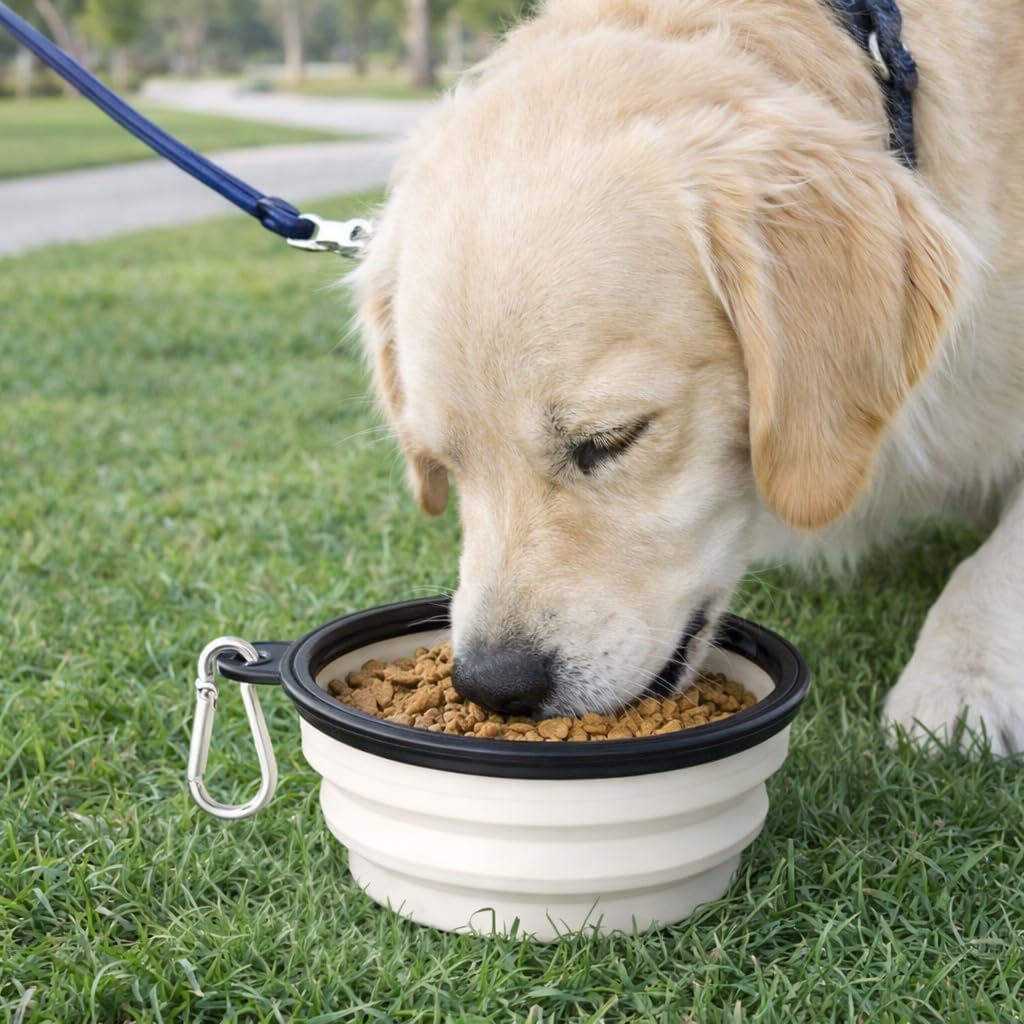 Collapsible Dog and Cat Travel Bowl with Carabiner, Portable Foldable Water and Food Dish for Walking, Camping and Car Trips