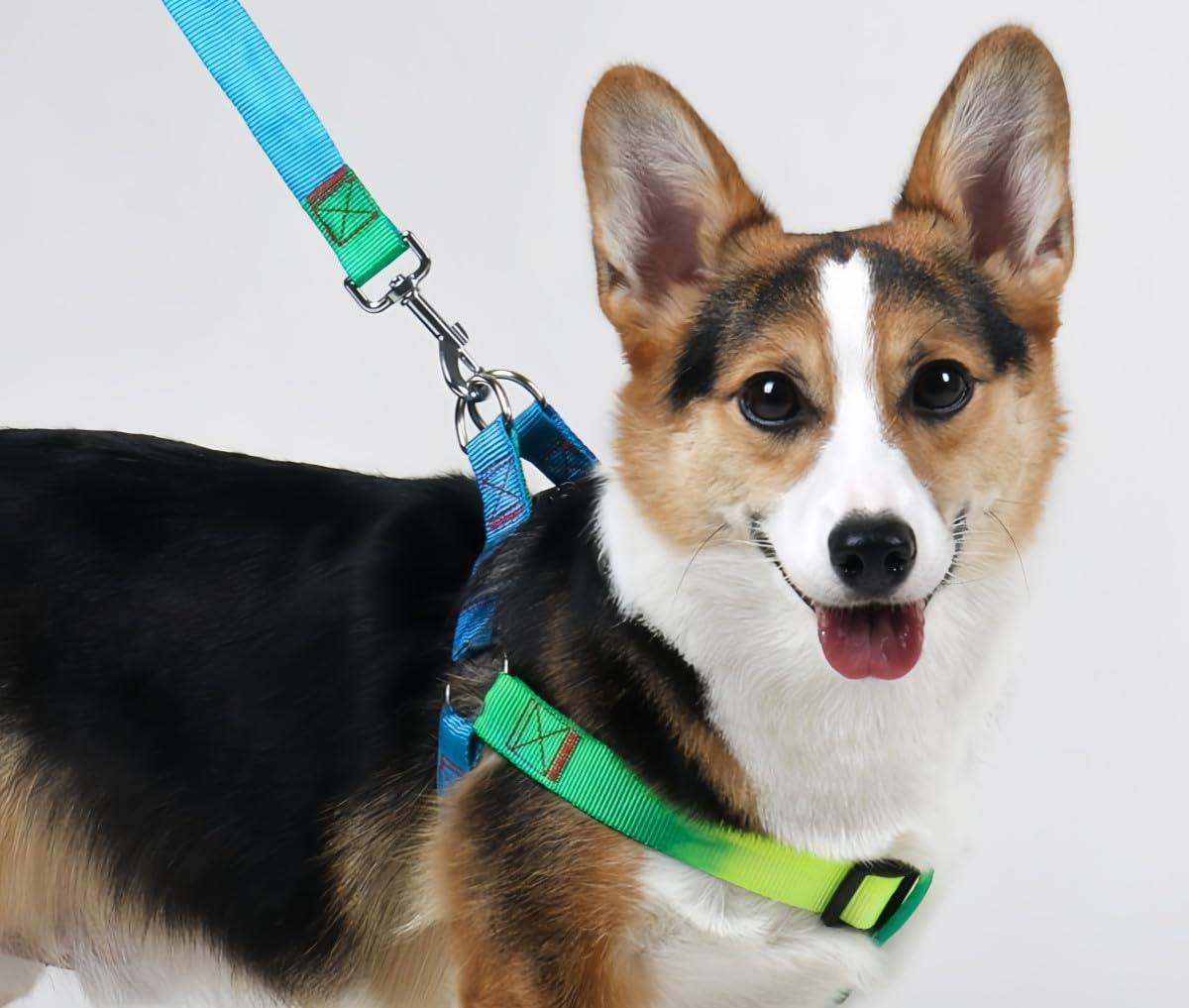 花井子 大型犬 ハーネス 犬 ハーネス おしゃれ 犬用ハーネス 首輪 Amazon | 花井子 大型犬 ハーネス 犬 ハーネス おしゃれ 犬用