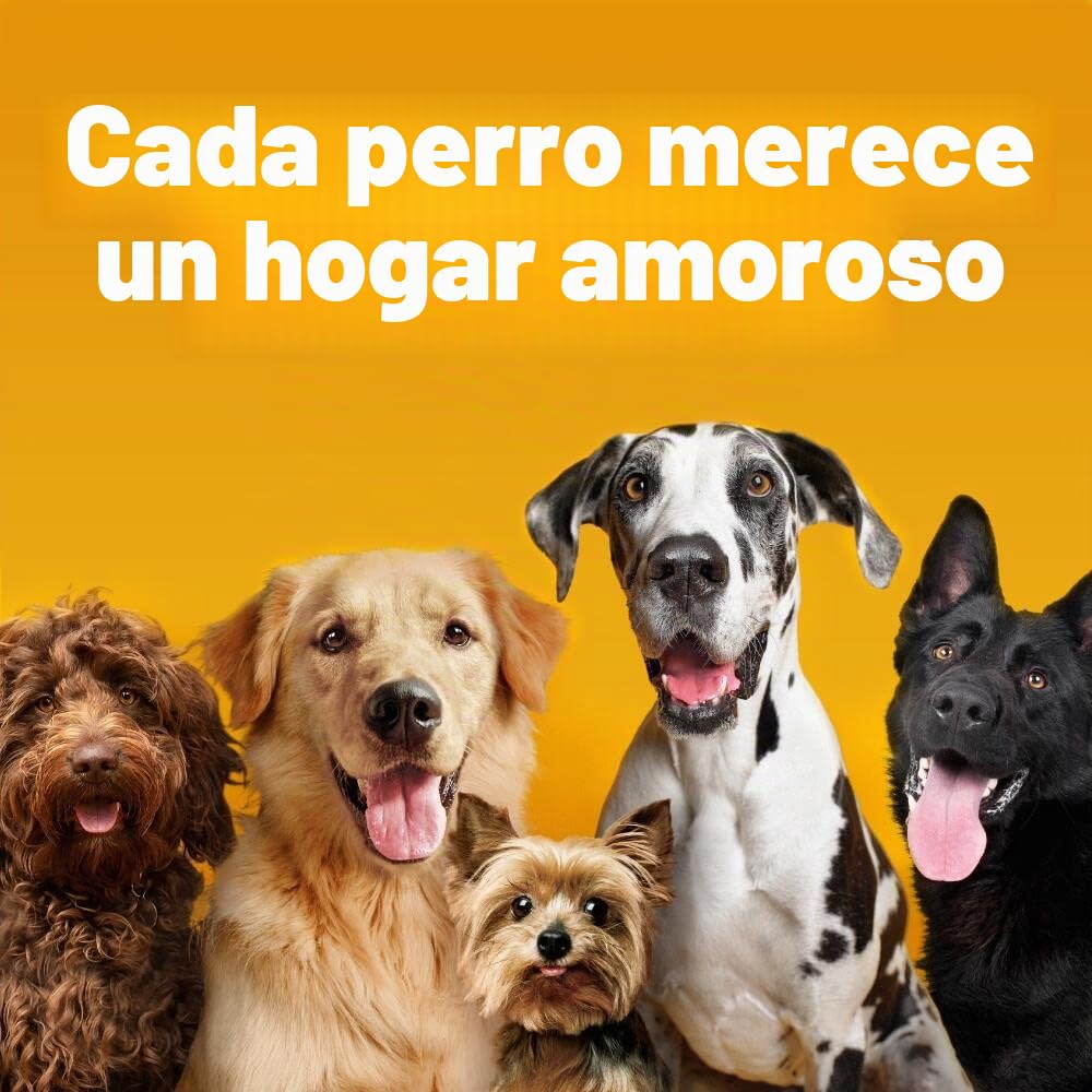 Pedigree Dentastix for Medium Dog 28 sticks 720 g (Pack of 4, Total 112 Sticks)