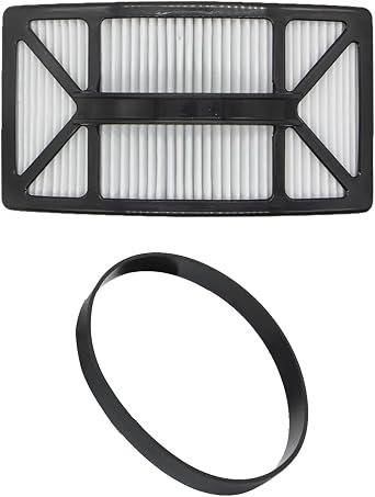 Filter Compatible with Bissell Vacuum 1790, 1792, Pet Vacuum 1793, 2488, 2486, 2487, 2492, 2490, 2489, 24899, 2491, 2494, 1307, 1309 1 Pack Post-Motor Filter and 1 Pack Style 7/9/10 Belt