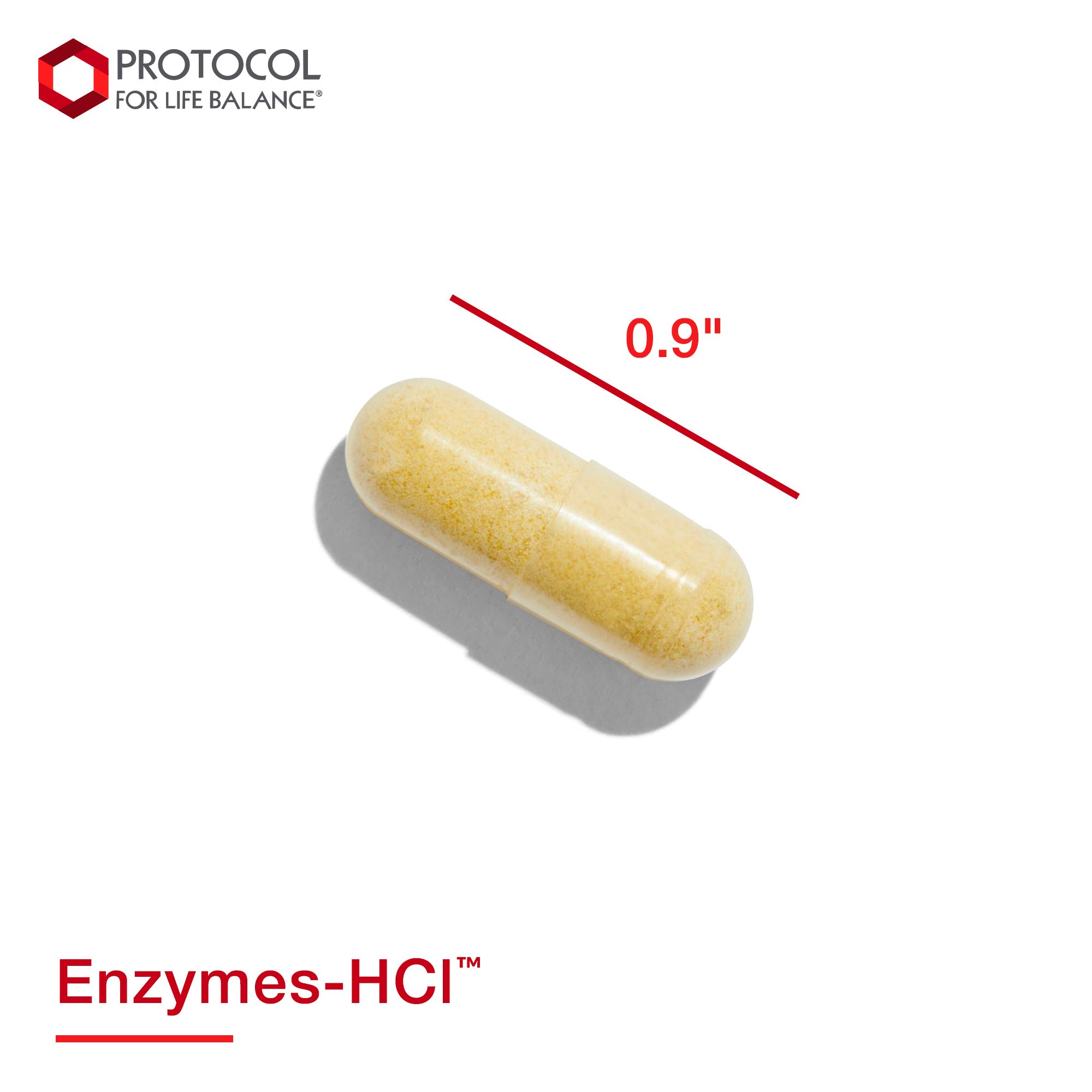 Protocol For Life Balance EnzymesHCl Promotes Digestive Health