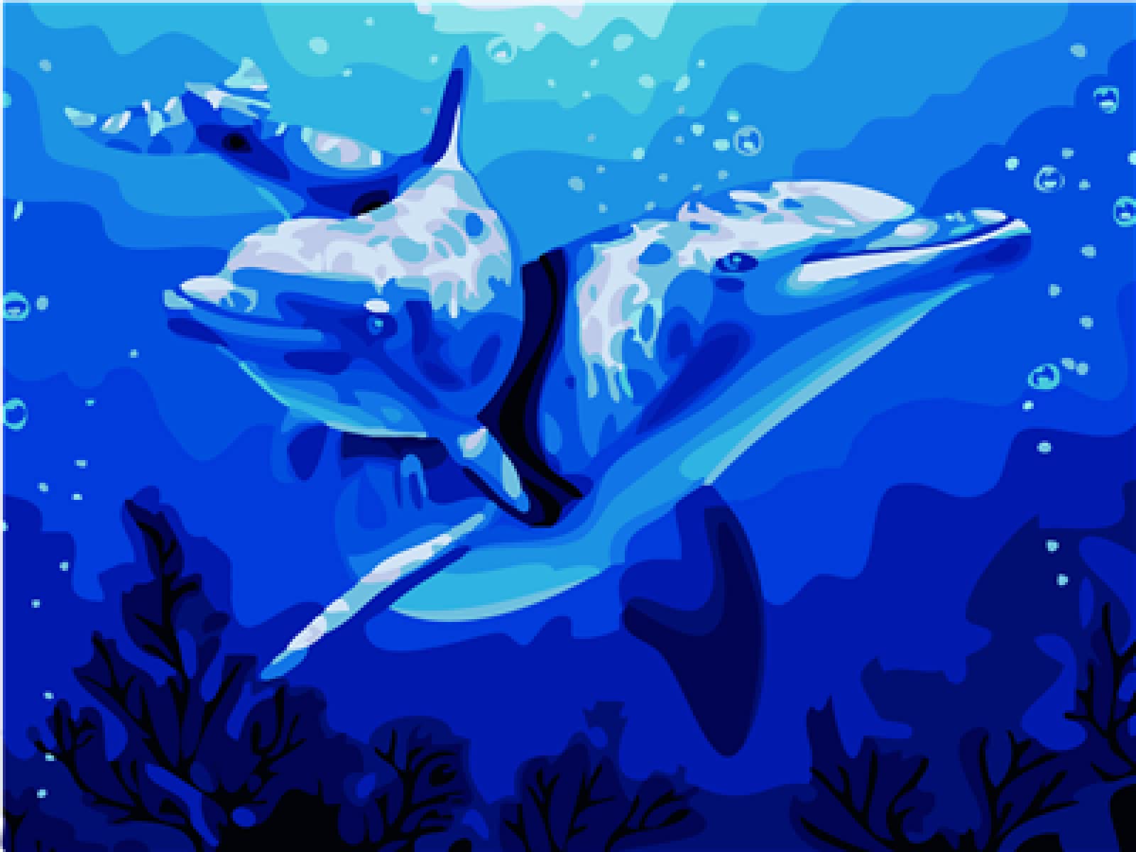 Kit pintura de diamantes adultos 5D cuadro de cristales completo DIY amor delfines 8