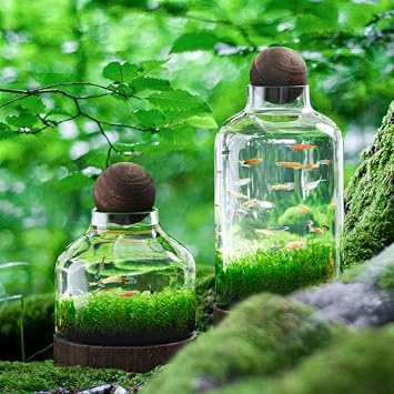 Micro Ecological Landscape Aquarium Fish Tank Self-circulating Plant Vase Glass Clear Desktop Planter Jars(L, A)