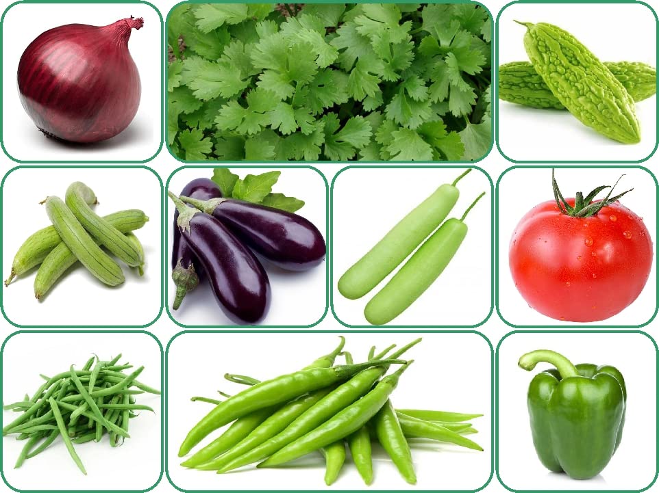 Aero Seeds 10 Variety Of Vegetable Seeds Combo Pack With Instruction Manual. (B0BDVFZPH8) Amazon Price History, Amazon Price Tracker