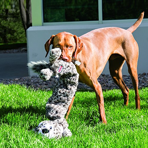Kong stretchezz Jumbo Hundespielzeug Löwe