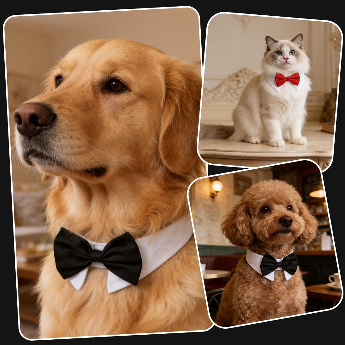 Bandana per cani con papillon regolabili per matrimoni feste