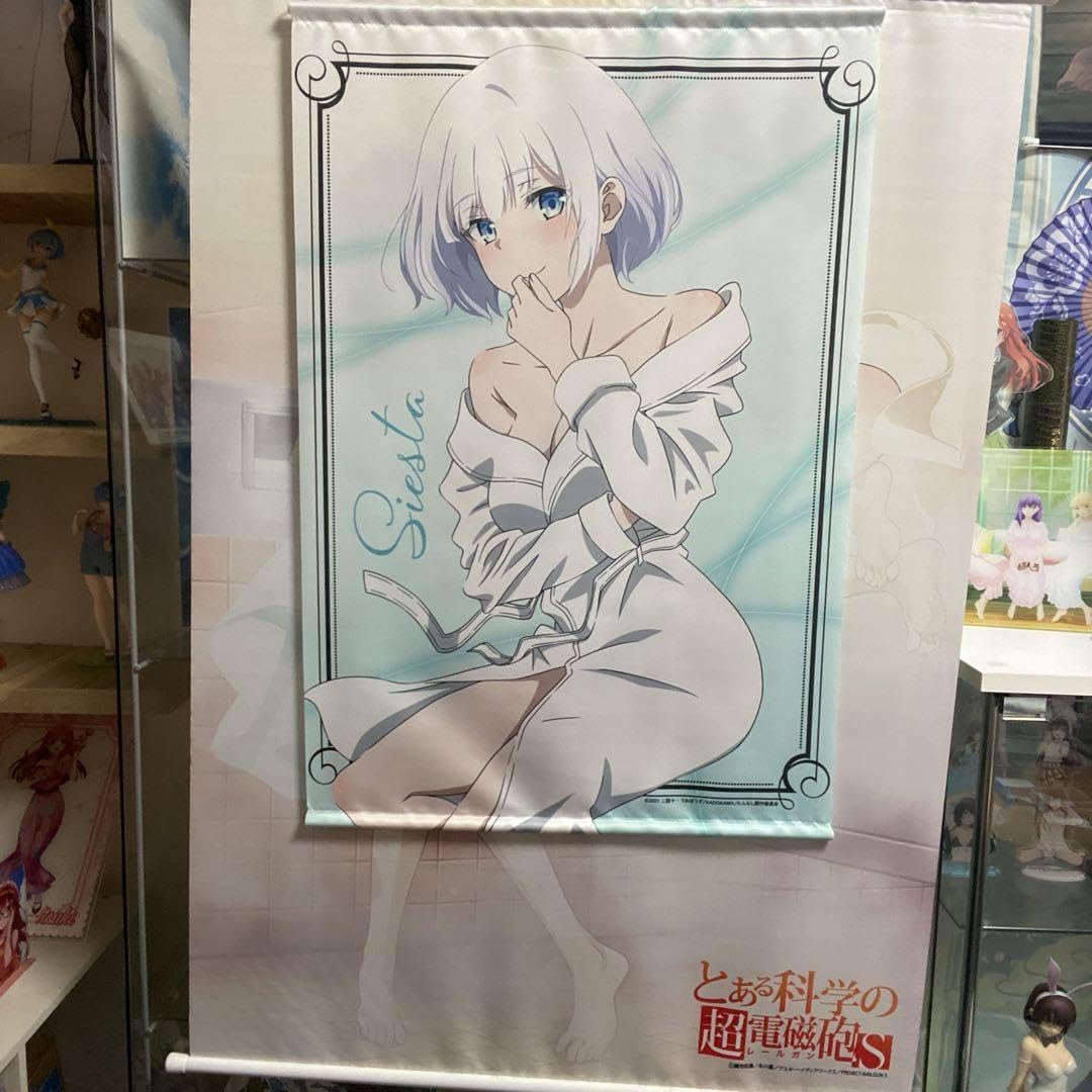 とある科学の超電磁砲　美琴のシャワータイムに黒子が　特大B1タペストリー 美琴のシャワータイムに黒子が 特大b1タペストリー とある科学の超