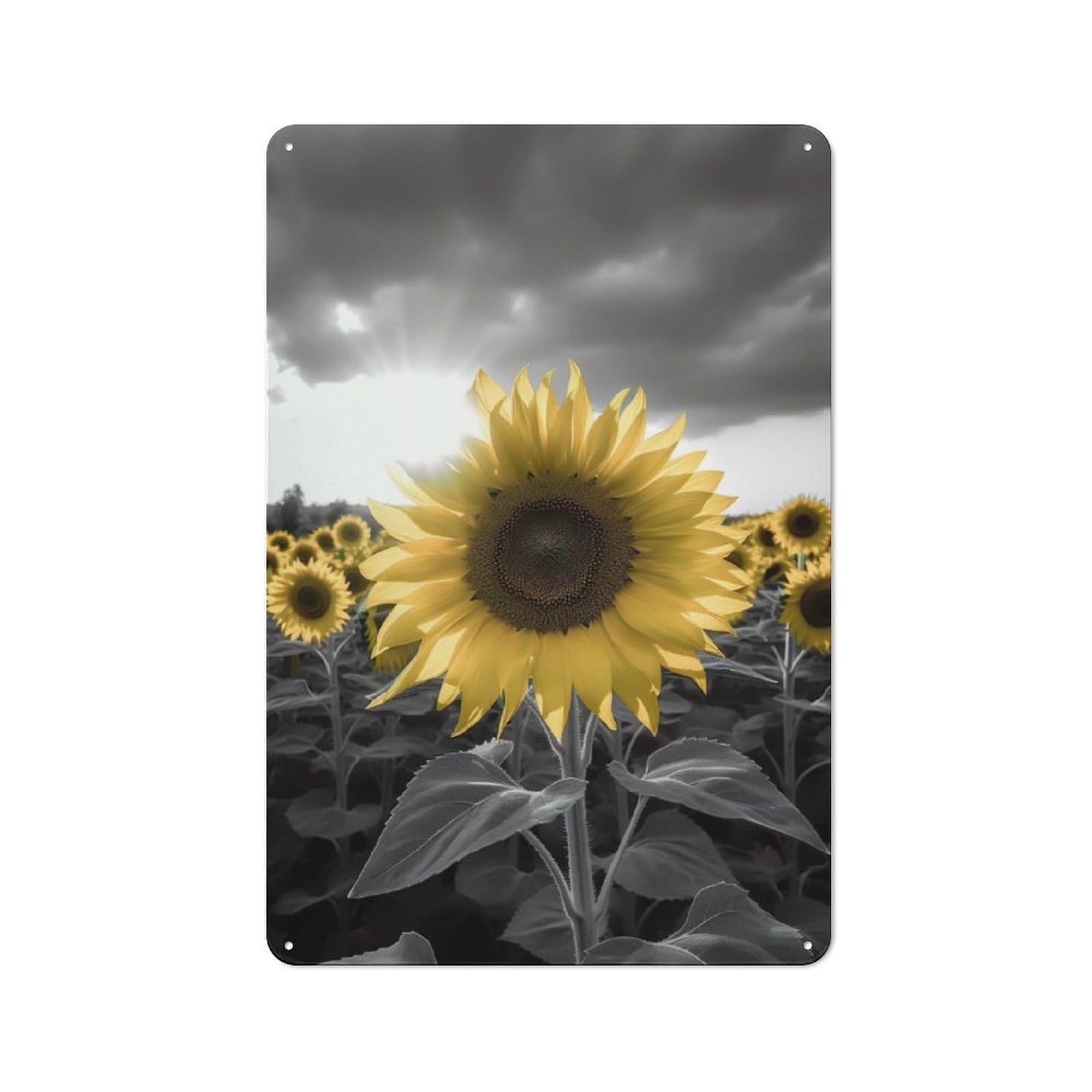 Junmoney Sunflower Field Greyscale Metal Sign 30X20cm With For Home Bar Wall, Rustic Decor, For Collectors Decorating Home Bars And Entertaining Spaces