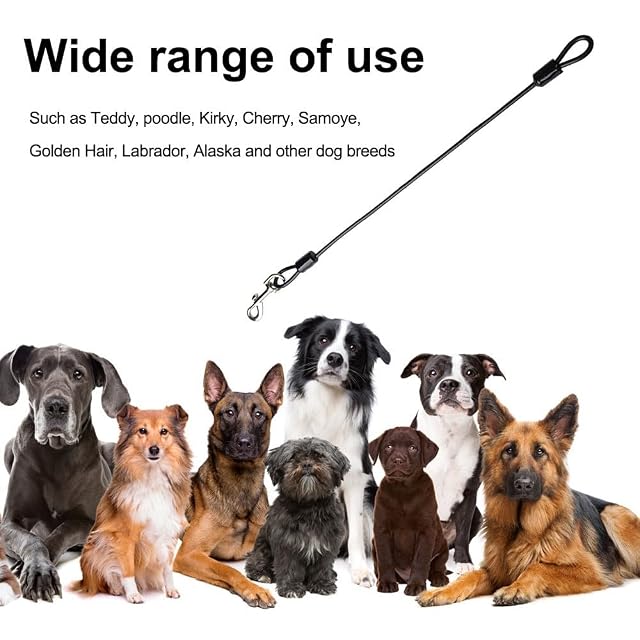 Foto 4 de 7 de Correa para perros Chew Proof, 48 cm, corta cadena para perros, resistente a mordeduras